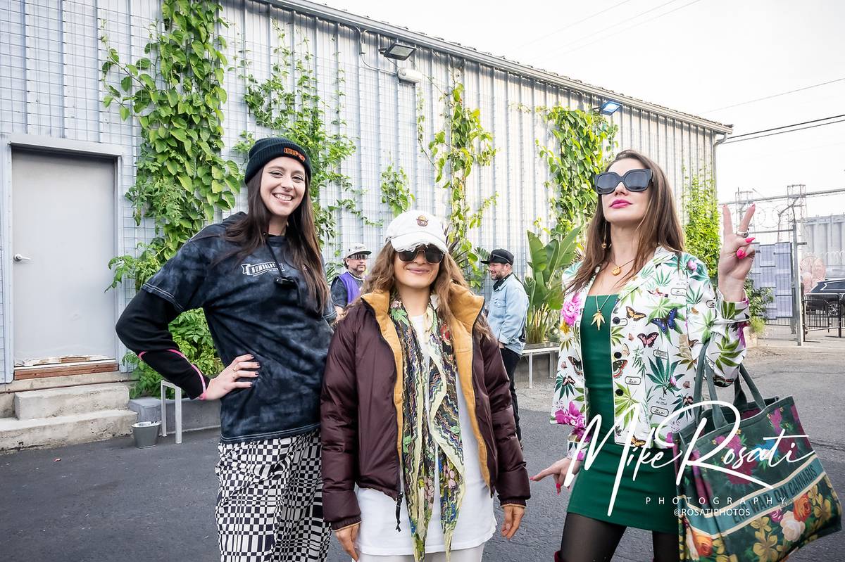 David Downs tweet media