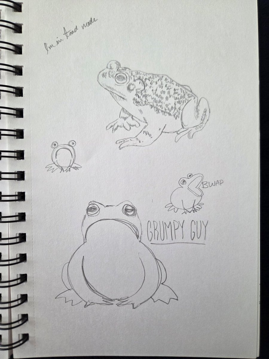 SyrinxMyth's tweet image. In case anyone ever thinks that everything in my sketchbook is perfectly curated, I present to you what most of it actually looks like.