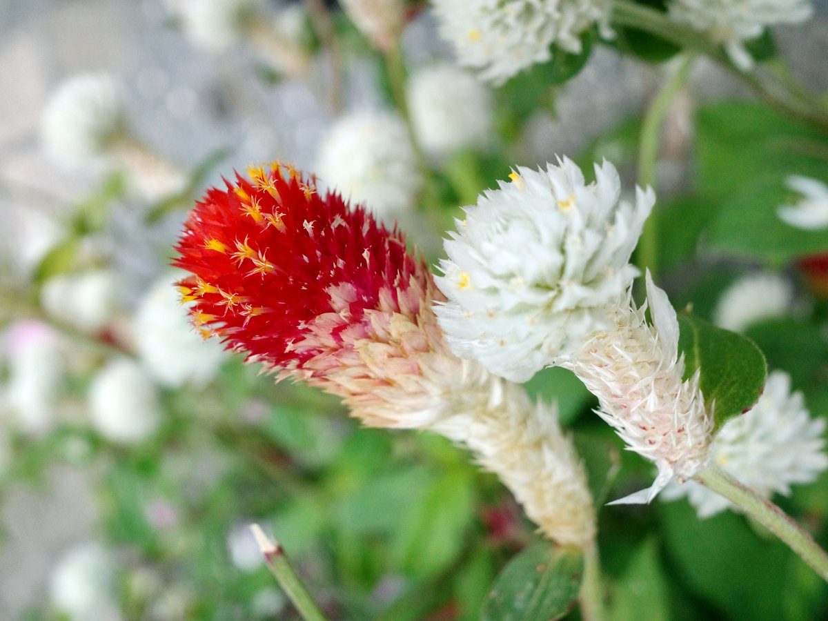 山城🈟ｲ➄ on X