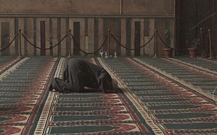 يا الله، ارزقنا لذّة الطاعة، وحلاوة الإيمان، ونور القلب 💛

#ساعه_استجابه

#ليلة_الجمعة