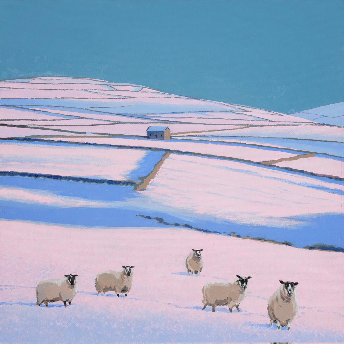 Sue Scott tweet media