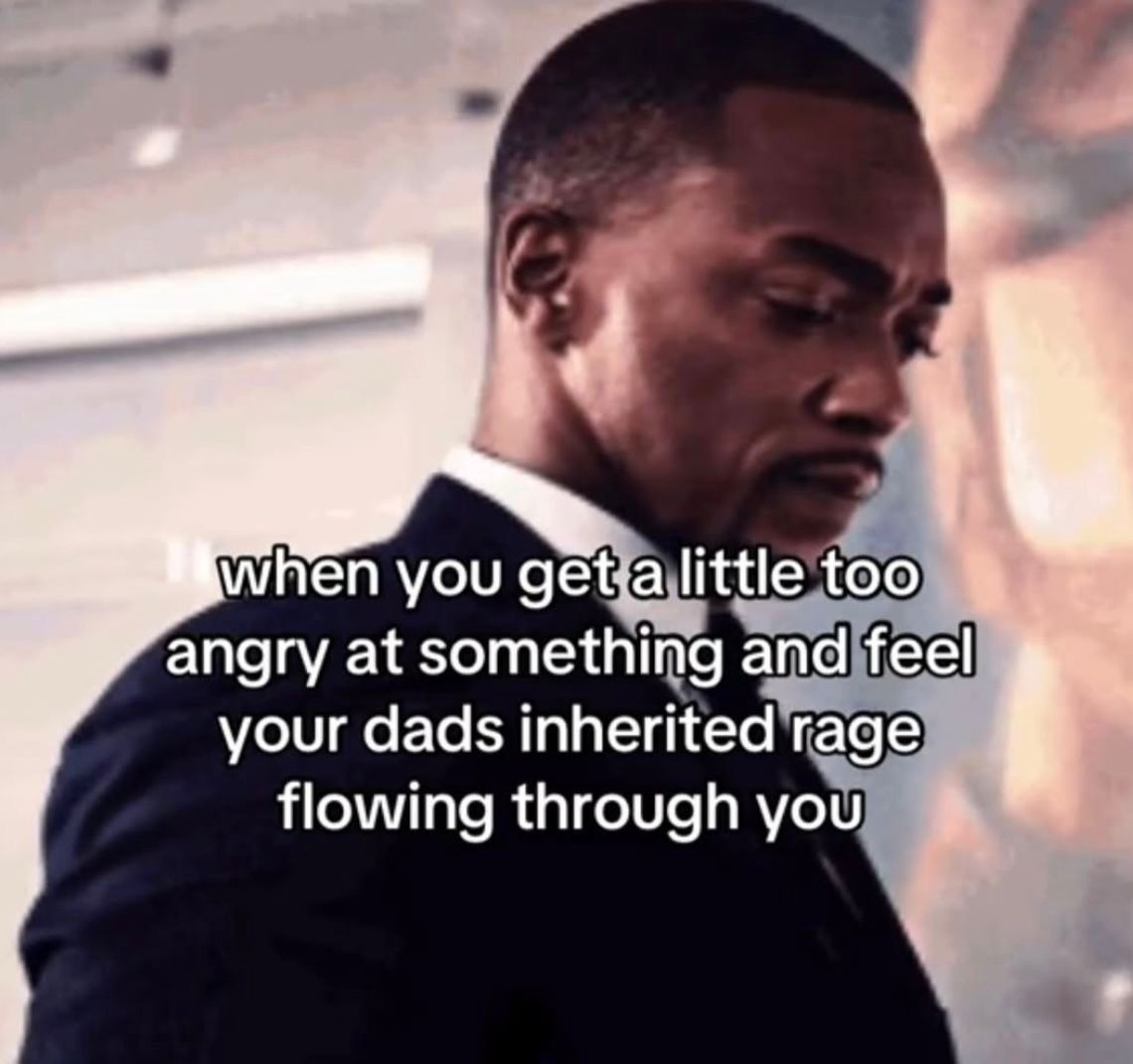 Wild TikToks (@wildtiktokss) on Twitter photo 