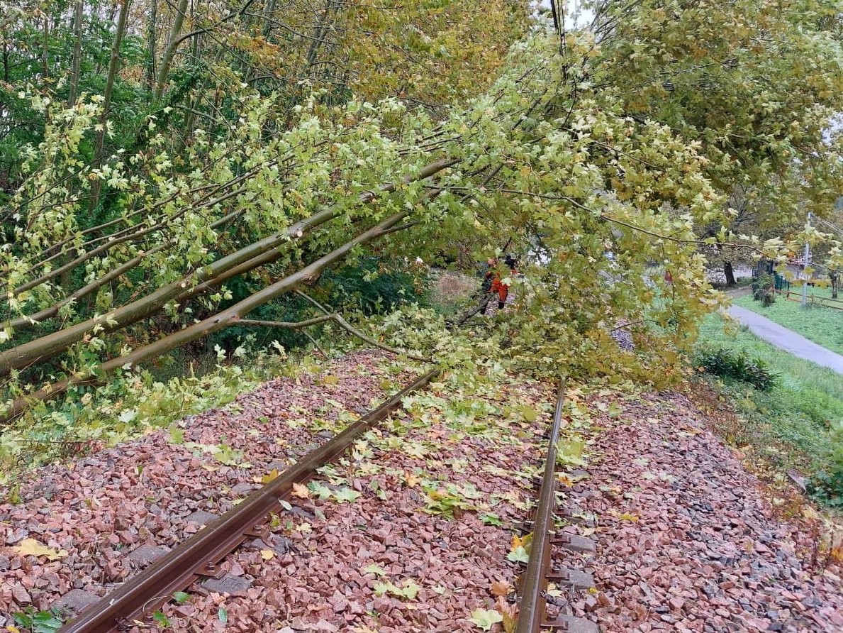 ⚠️[Tempête Benjamin] Nous adaptons les circulations ferroviaires pour garantir la sécurité des voyageurs et du personnel avec notre dispositif Stop Circulation. 🛑
#SNCFReseau #SNCF #Reseau #ReseauFerre #Securite #AlerteOrange #TempeteBenjamin