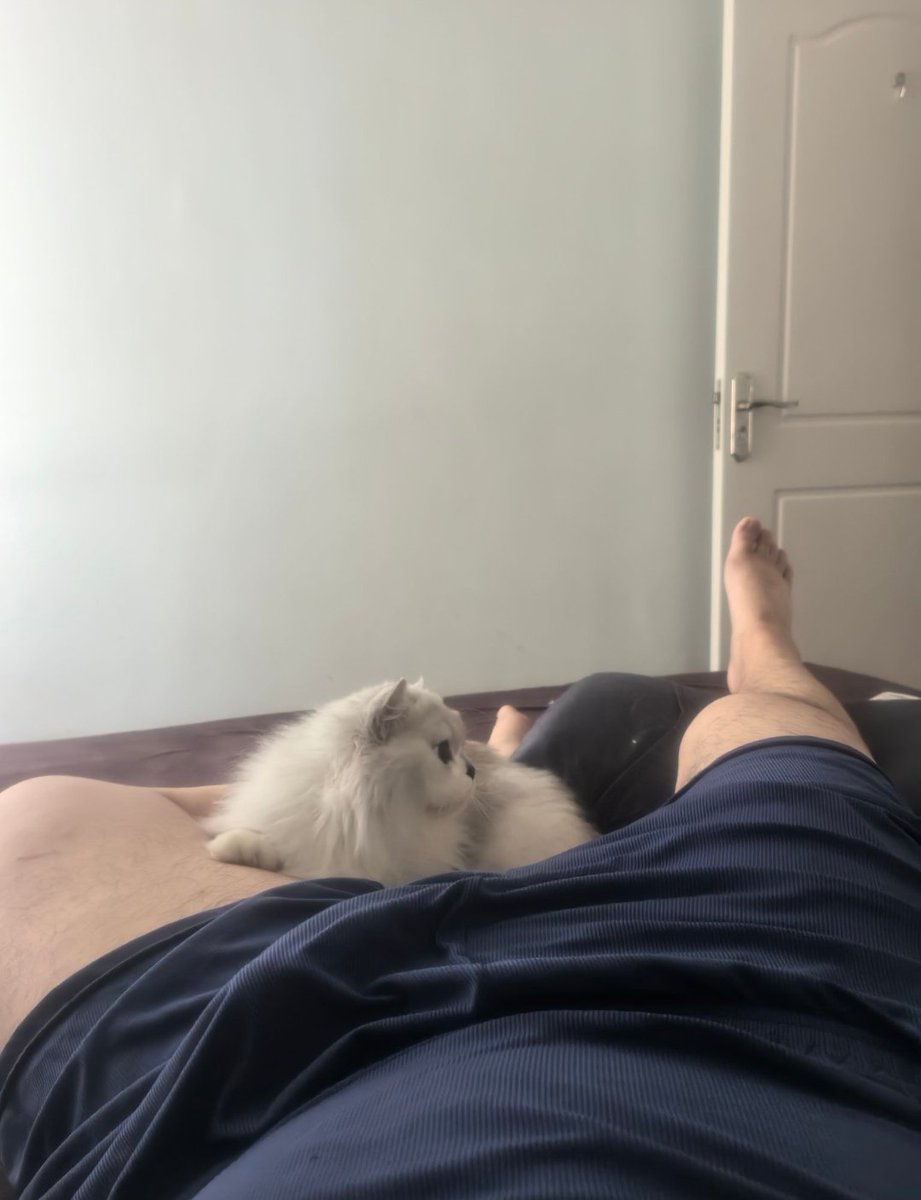 ttiiddaa315733's tweet image. 