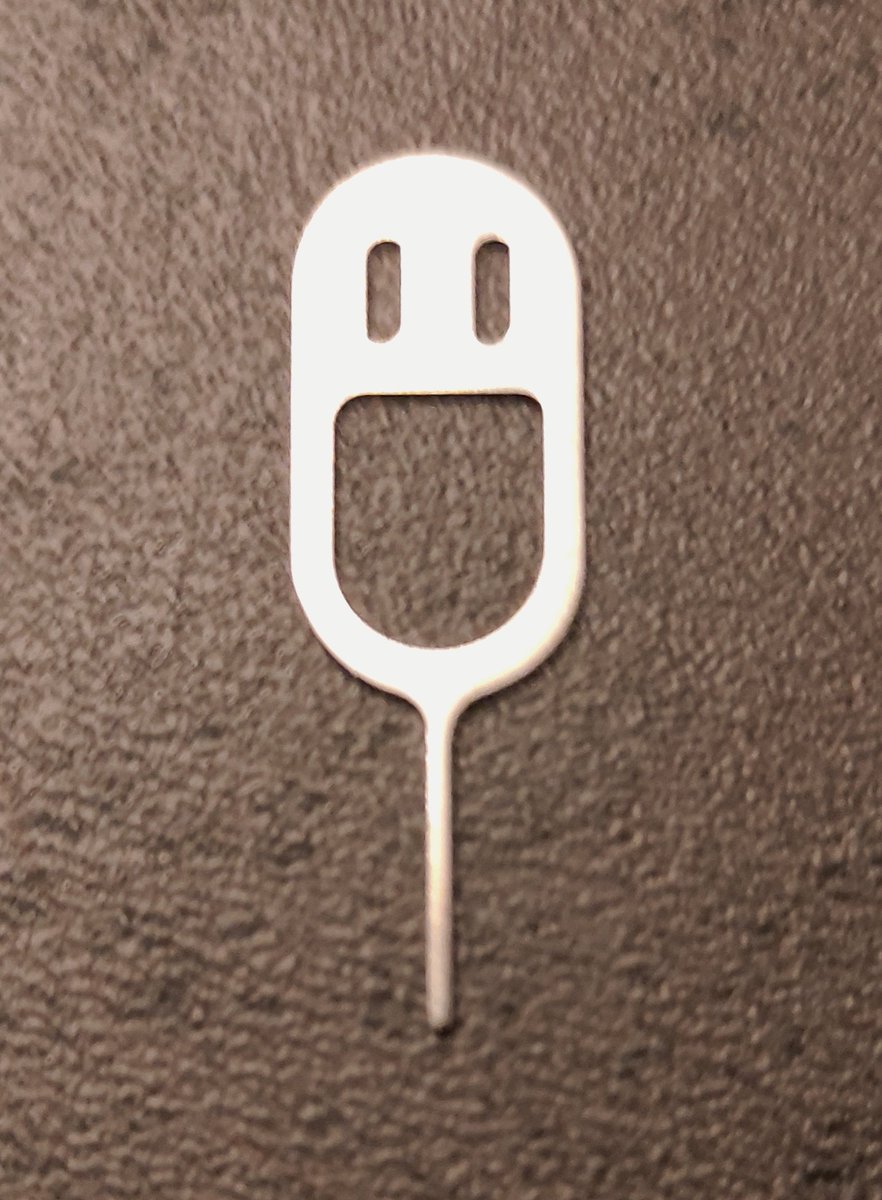 Pinnetje is vrolijk.