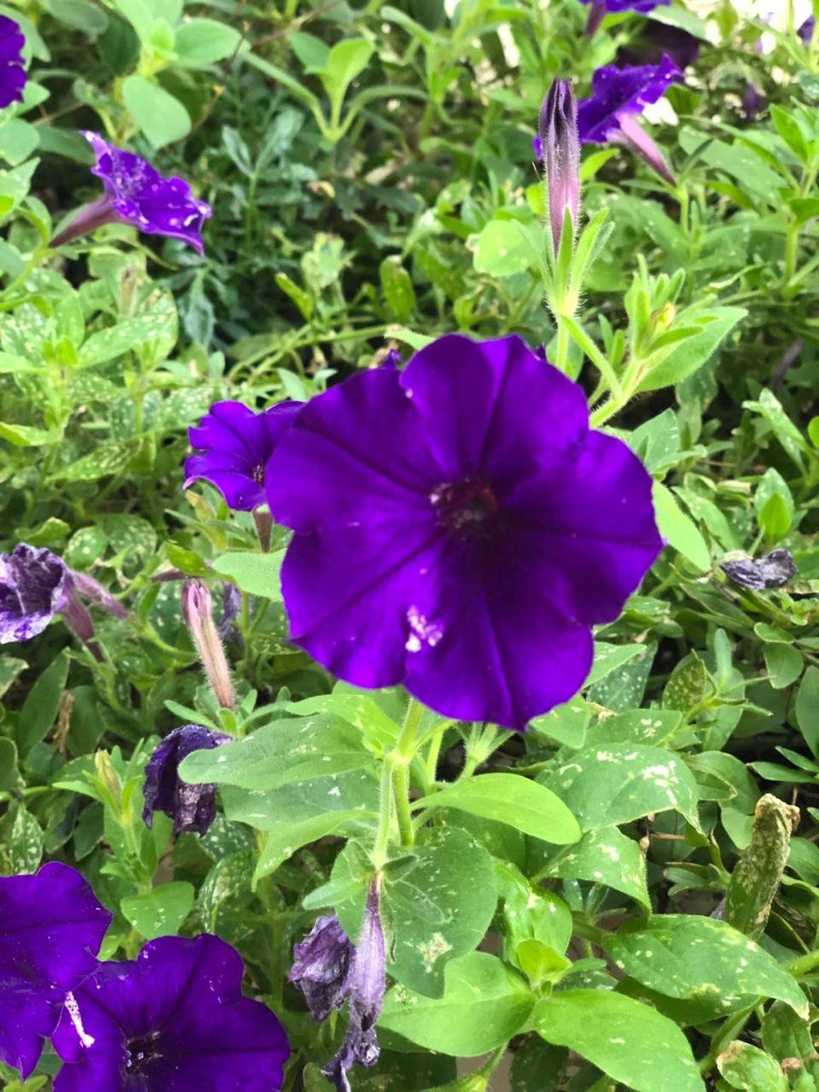 BackOnTrackDUI's tweet image. Canada