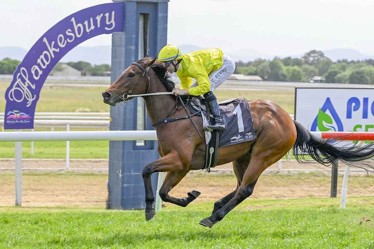 Trained from our Rosehill stable, Naifah breaks her maiden with Tommy Berry in the saddle over 1000m. 

The filly by I Am Invincible changed leads numerous times up the straight, and the pair went on to win by over two lengths. Skipadeedoo!! 🏇💨

<a href="/silverdale_farm/">Silverdale Farm</a>