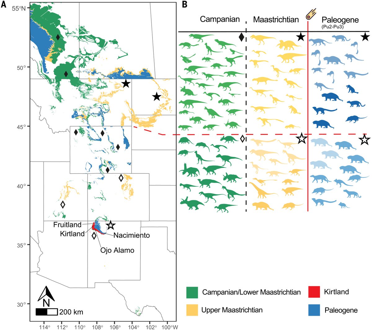 Dinoh555's tweet image. Late-surviving New Mexican dinosaurs illuminate high end-Cretaceous diversity and provinciality
science.org/doi/10.1126/sc…