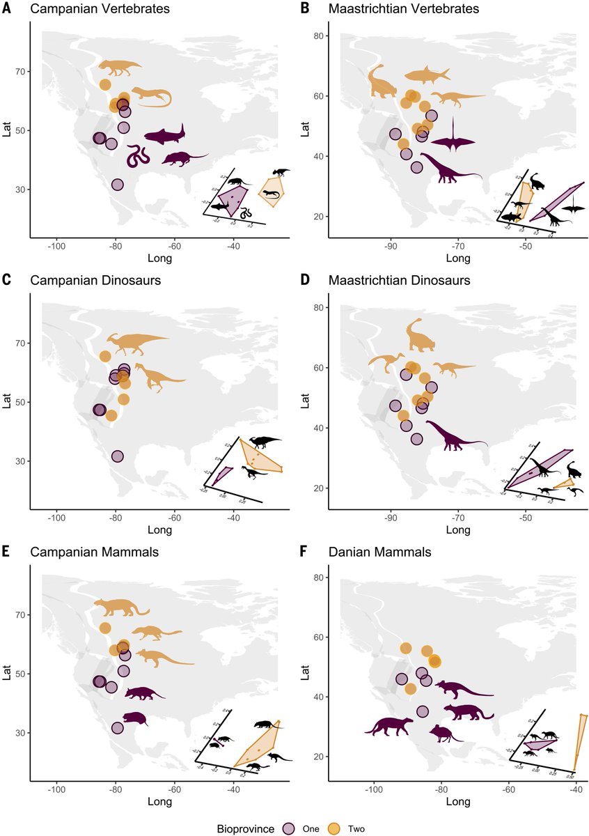 Dinoh555's tweet image. Late-surviving New Mexican dinosaurs illuminate high end-Cretaceous diversity and provinciality
science.org/doi/10.1126/sc…