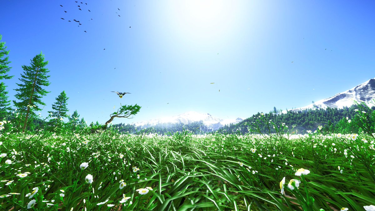 HiddenSquid tweet media