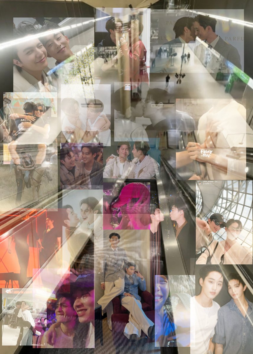 hirahong's tweet image. how a westie sees the world