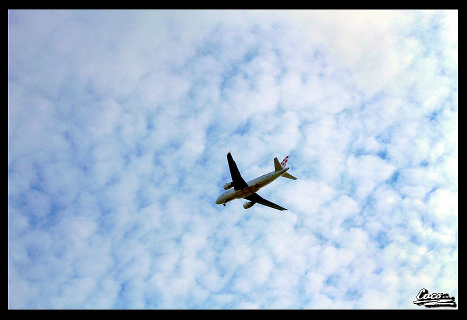 caco_darkage's tweet image. Plane

#photography #plane #sky #clouds #travel
