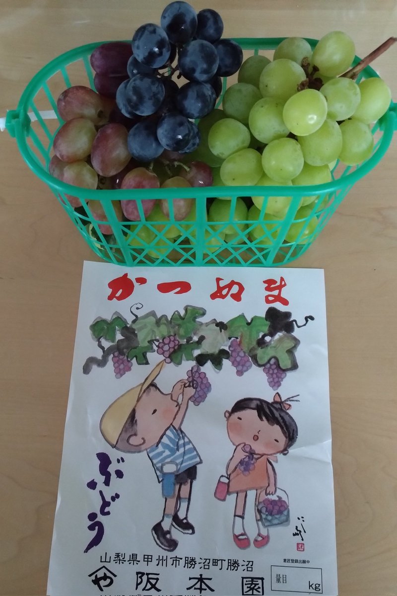 まめのこページ 兵頭有紀 on X