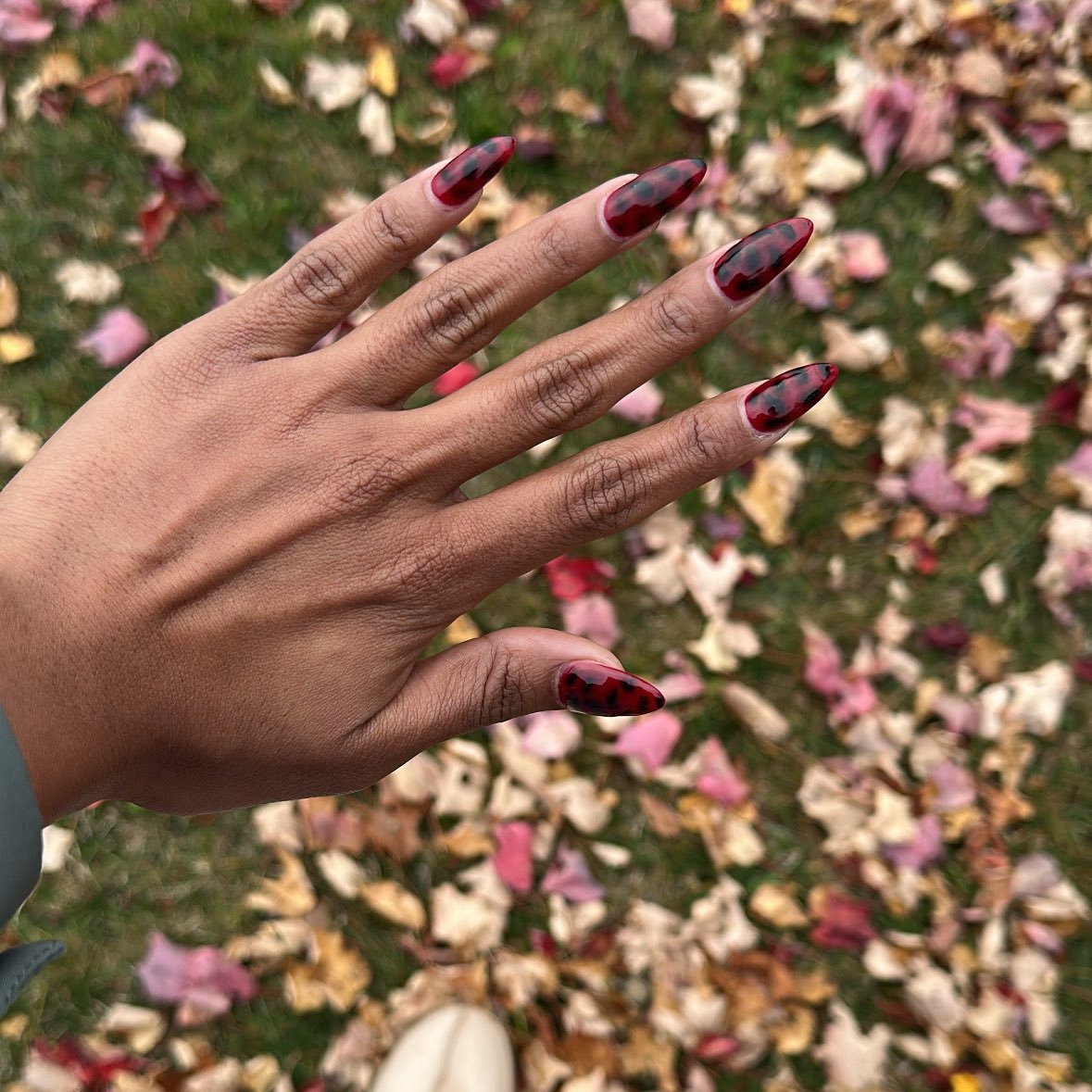 Gm 🫰🏽