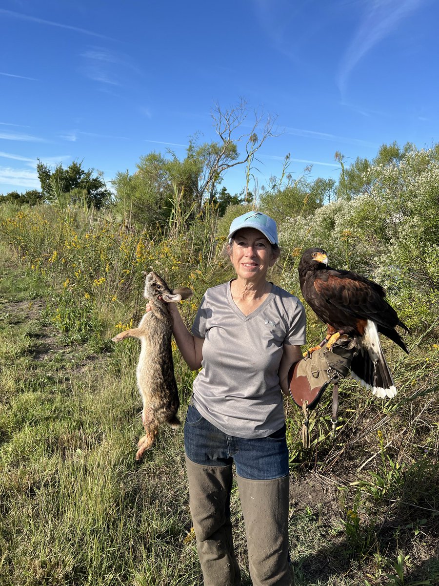 Jennifer Coulson tweet media