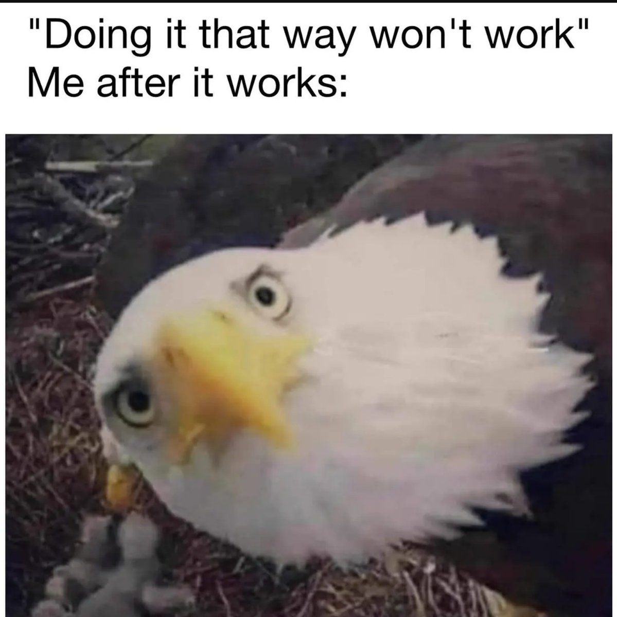 JamieHarperUK's tweet image. Life as a software developer be like ...

#Programmer #Software #Developer #Solutions
