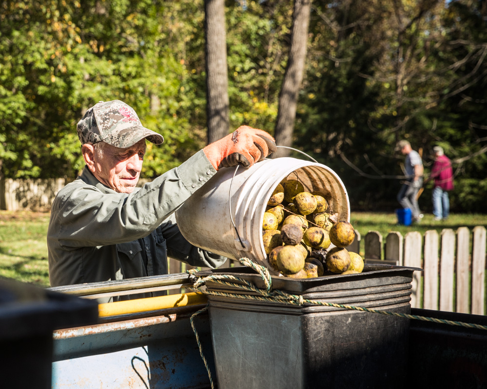 Fall is in the air across the Midwest &amp; wild #BlackWalnuts are still falling!  We’re excited to announce the #HarvestSeason has been extended through 11/14!  Check w/ your local buying station for updated hours &amp; extended buying dates: 
black-walnuts.com/discover-harve…

Happy Harvesting!