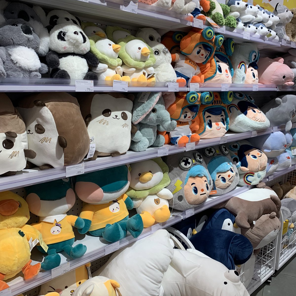 Tiap kali lihat boneka pengen beli aja terus di kasihkan orang, tapi gak tau mau dikasihkan ke siapaa . . . . 
Piye jal