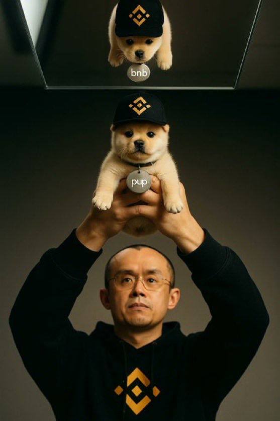 drbker's tweet photo. @cz_binance @cz_binance $bnb = $pup ? https://t.co/wFaJToO9NY