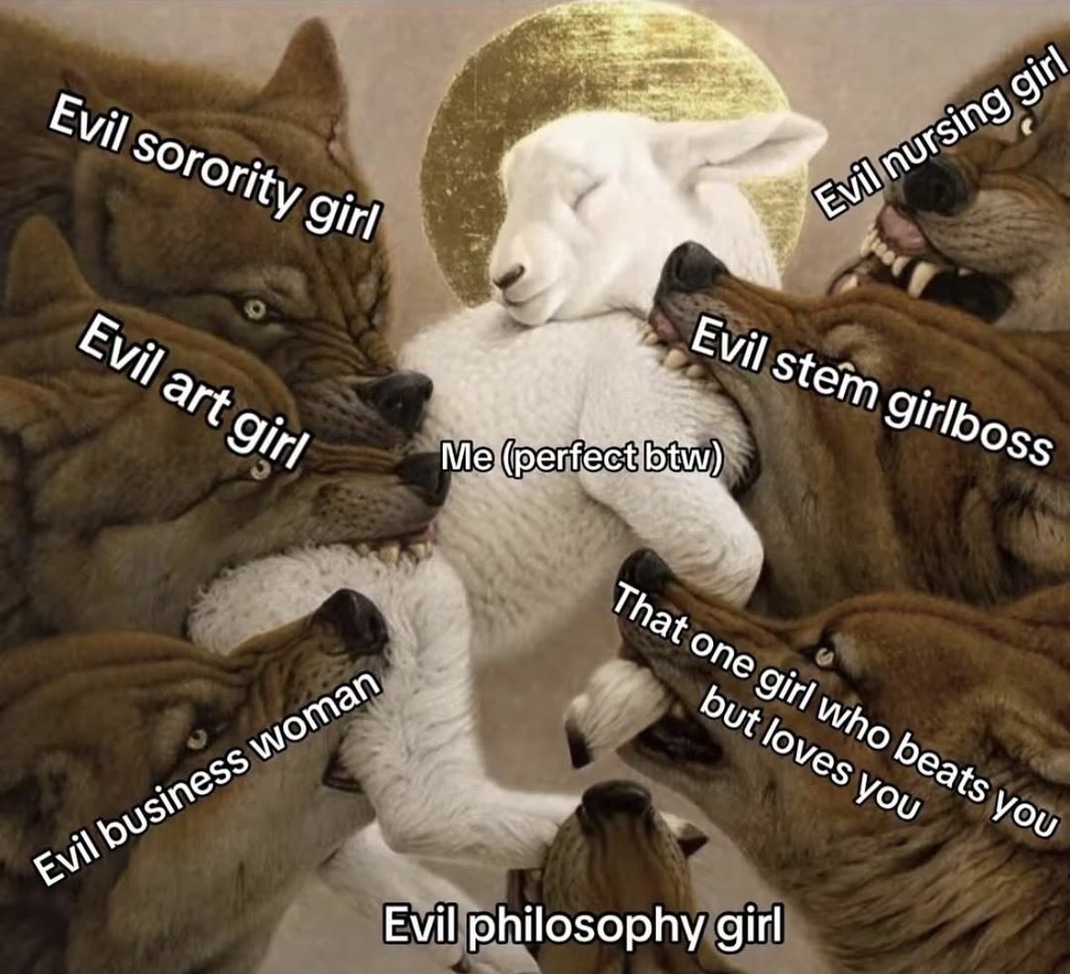 rohitdoesdev's tweet image. how it feels to be young sensitive man in a world full of evil young women
