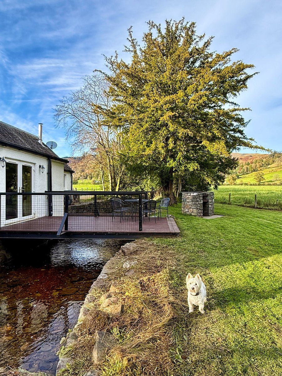 (Ad) Autumn popping on the <a href="/LenyEstate/">Leny Estate</a>  in the heart of the lovely Loch Lomond &amp; The Trossachs National Park. Currently staying on the estate at their pet friendly property - Leny Lodge. The lodge is rustic and cosy inside and outside a wee stream runs through the garden. 🥰