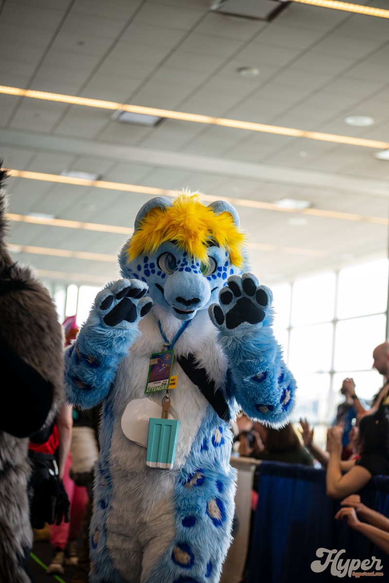 ArkadyTheSnep's tweet photo. Happy #SnowLeopardDay!
📸 https://t.co/ETn3ziR1G4 https://t.co/6cb8UlgC7d