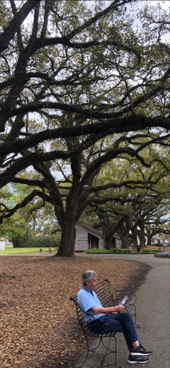… vas camino hacia la lejana vejez; despreocupada, la vida es bella. Un cambio, suave, susurra al  oído, solapadamente, que nada cambia, todo y nada sucede, hasta que es demasiado tarde…