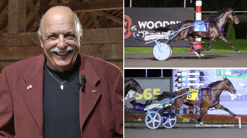 SugarDoyle's tweet image. Moore On Retirement, 'Beau', 'Hal' And The Blue Jays standardbredcanada.ca/news/10-22-25/…