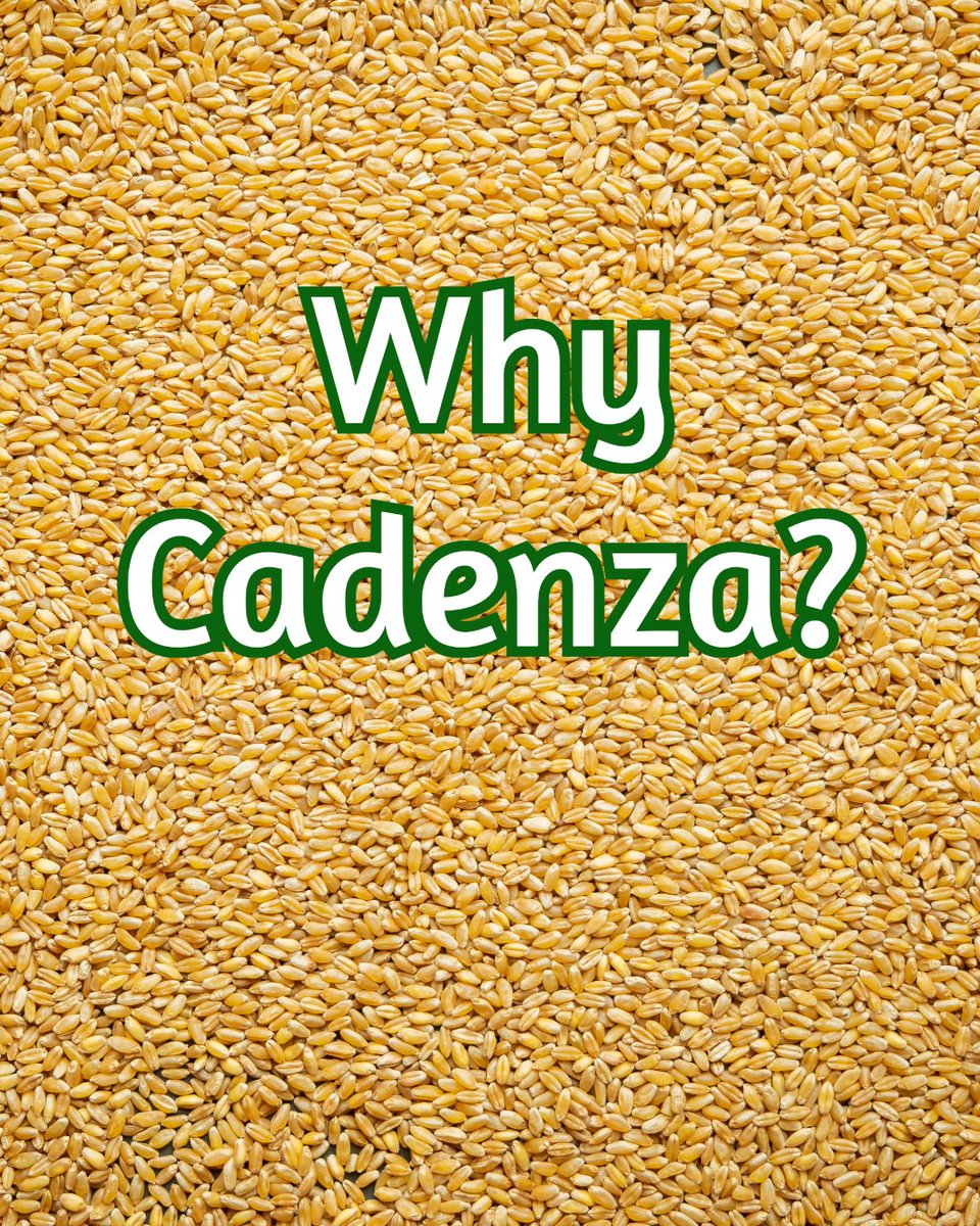 PROBITY Project tweet media