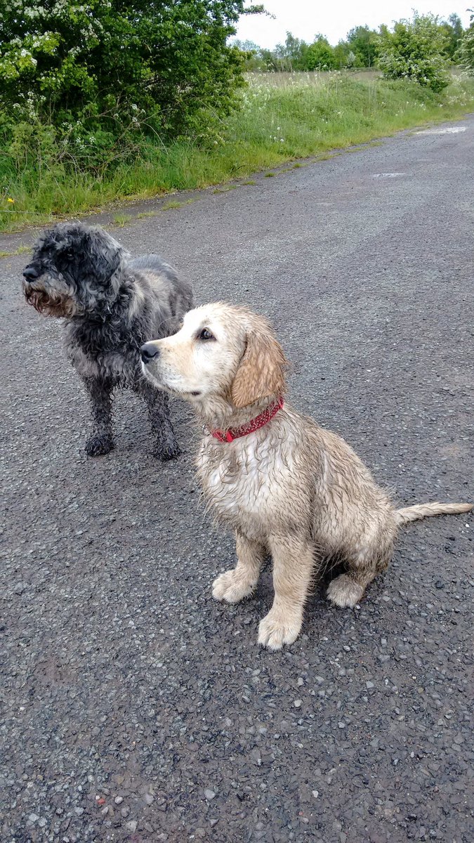 #ThrowbackThursday to the time Harry persuaded me to have a quick 'dip' in the pond...🫣🤣