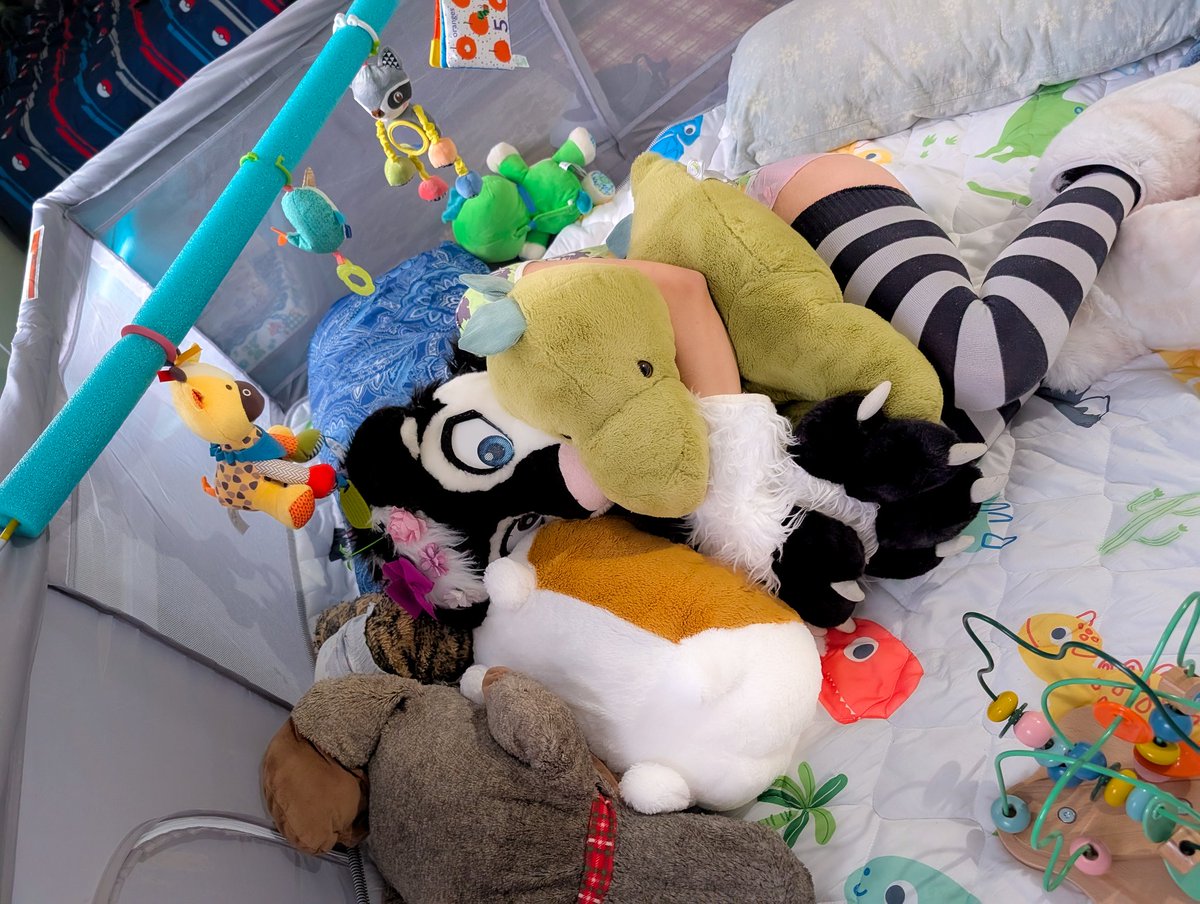 SnickersSkunk's tweet image. very eepy 💤 

Need a partner in eep
(Snugs included)