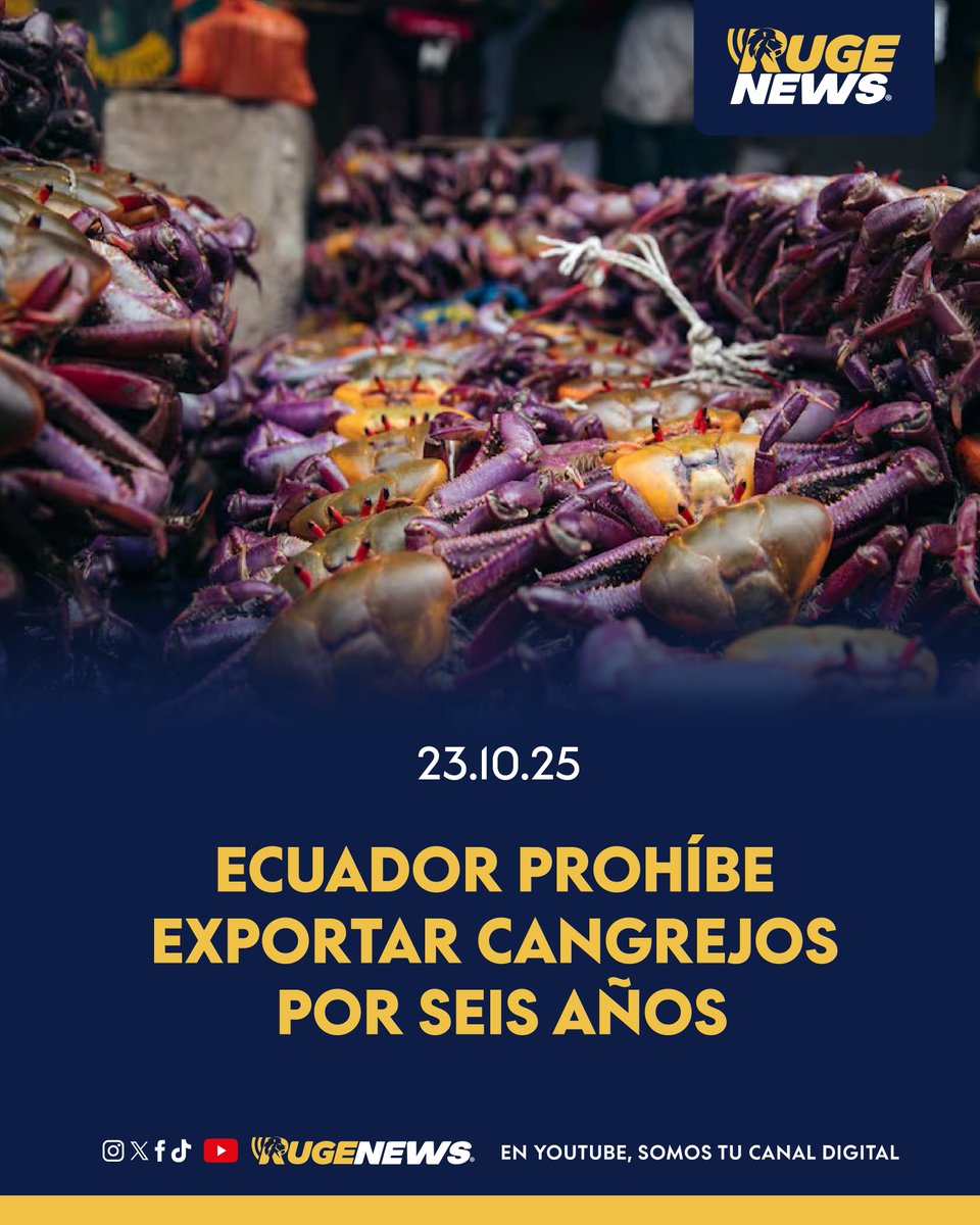 RugeTV1's tweet photo. 🦀 ¡PROHIBIDA LA EXPORTACIÓN DE CANGREJOS! 🦀

El Comité de Comercio Exterior (Comex) resolvió prohibir por seis años la exportación de todas las especies de cangrejos —en cualquier presentación— a partir del 28 de octubre de 2025.

La medida busca proteger los ecosistemas de manglar, garantizar el sustento de los recolectores artesanales y conservar las poblaciones del crustáceo. 🌿🇪🇨

#CangrejoEcuatoriano #Comex #MedioAmbiente #Ecuador #Manglares #ProducciónSostenible