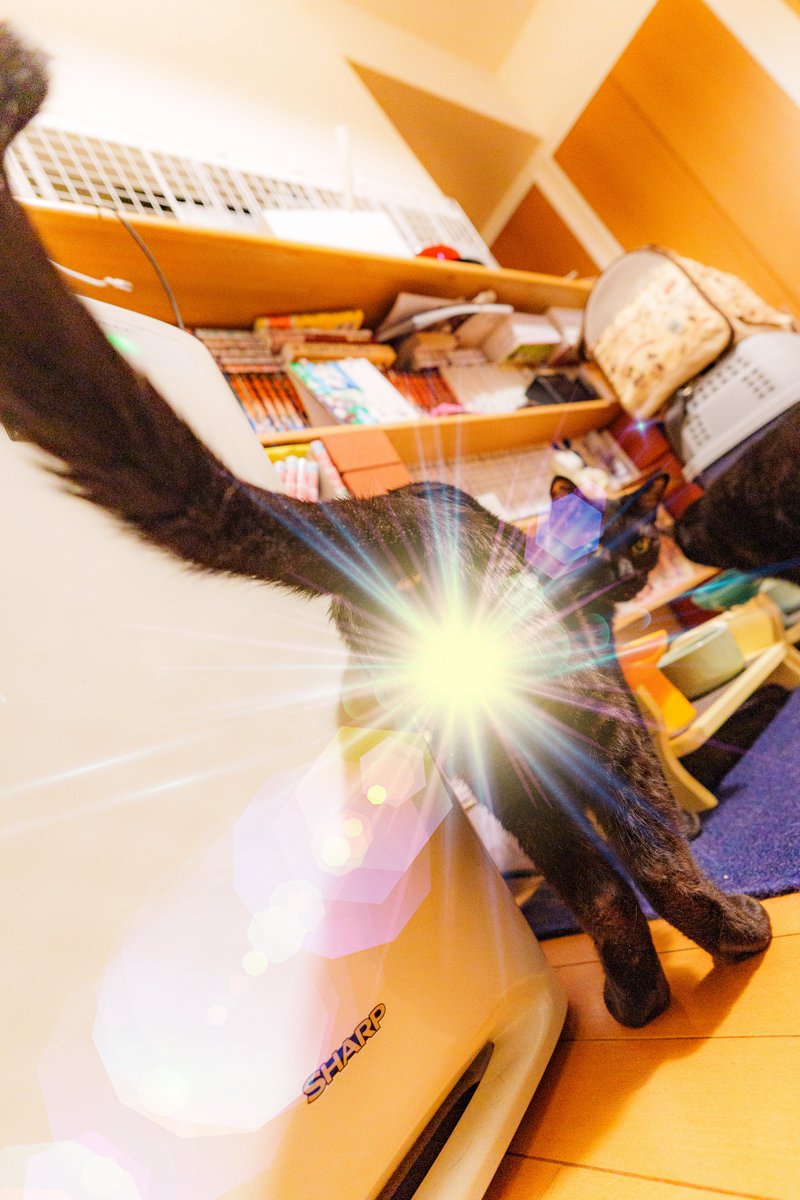 キンタマで温まりなさい🐈‍⬛🍒✨✨✨
＃キンタマキラキラ金曜日