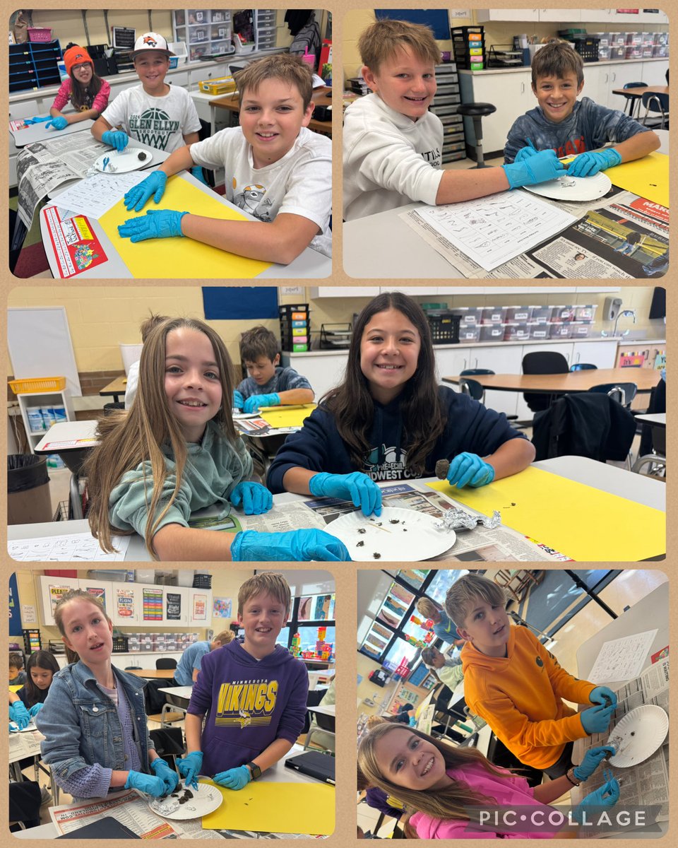 Lauren Snyder tweet media