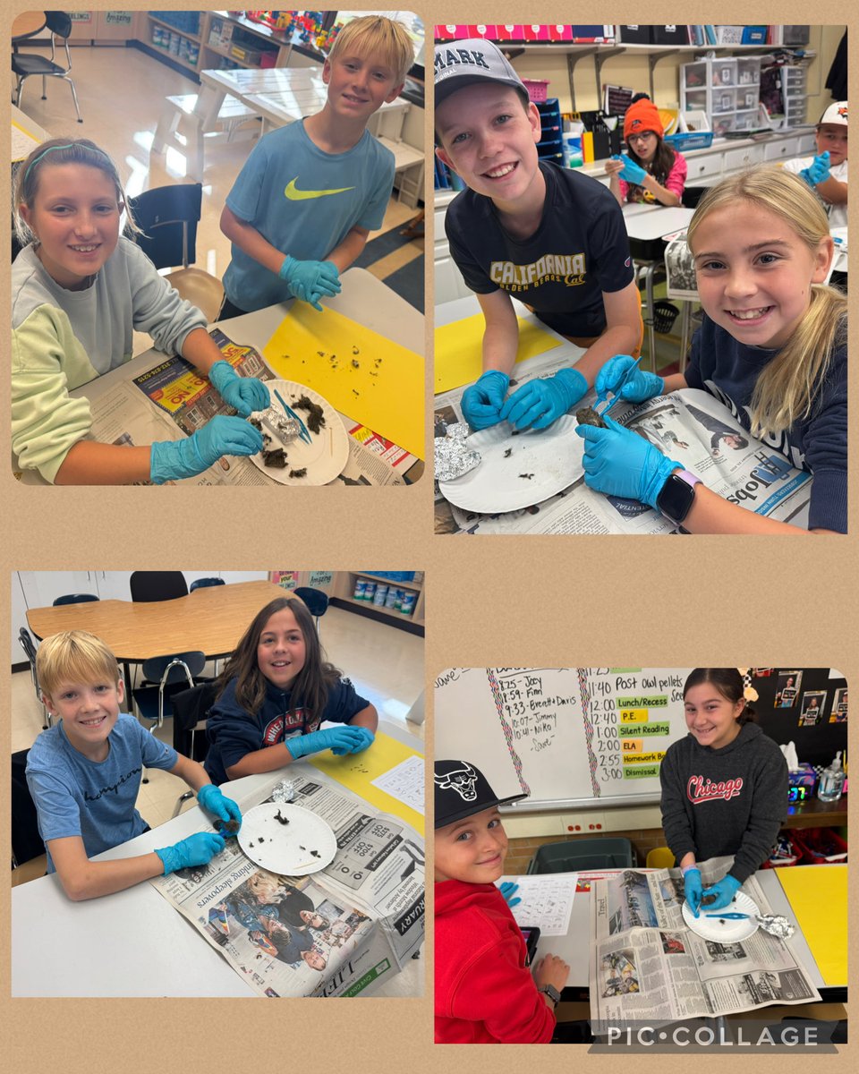 Lauren Snyder tweet media