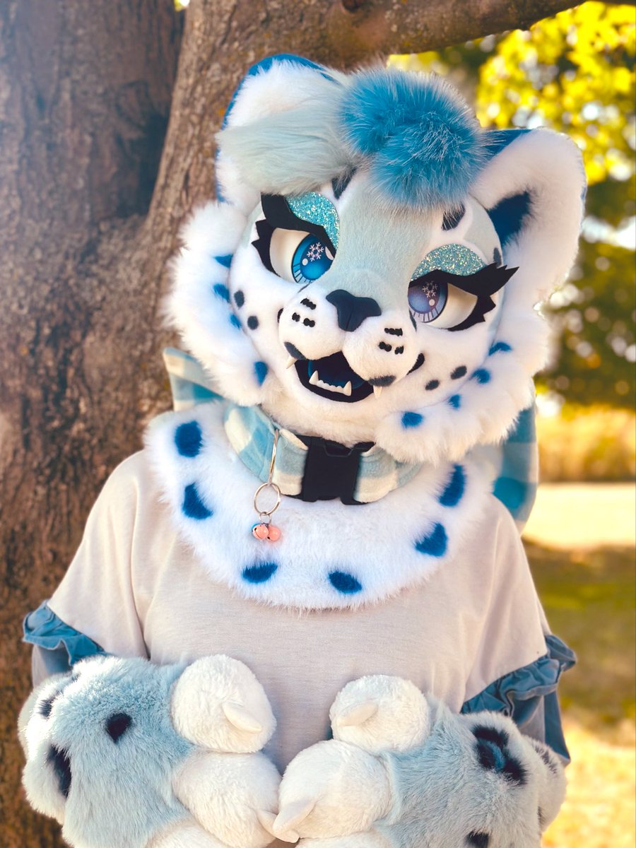 HAPPY INTERNATIONAL SNOW LEOPARD DAY ❕❕(〃ω〃) pet ur local snep now