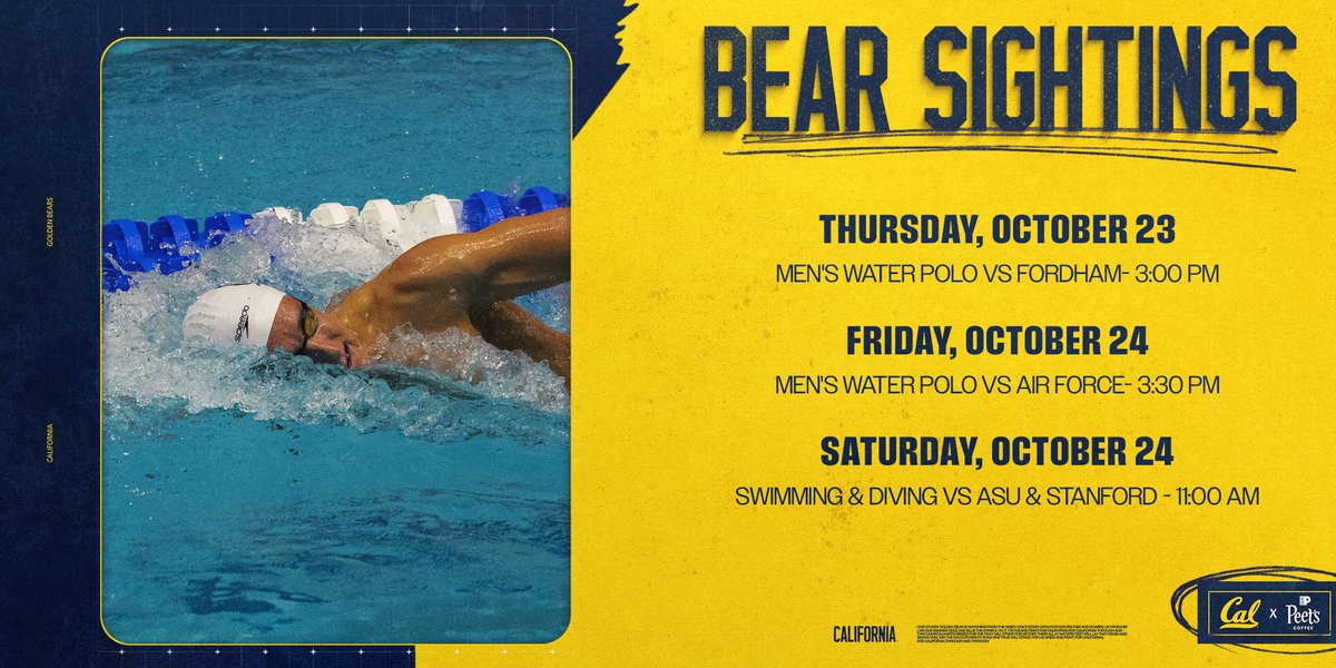 This week in Bear Territory! ⤵️