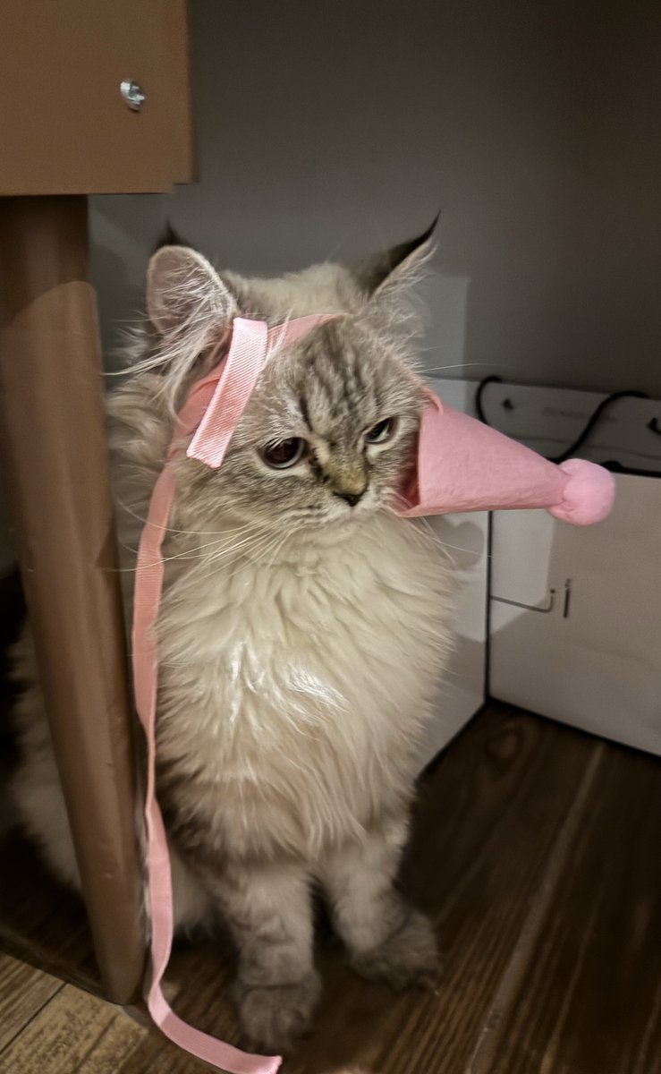 مين وده ينعزم على بيرثدي الملكة؟