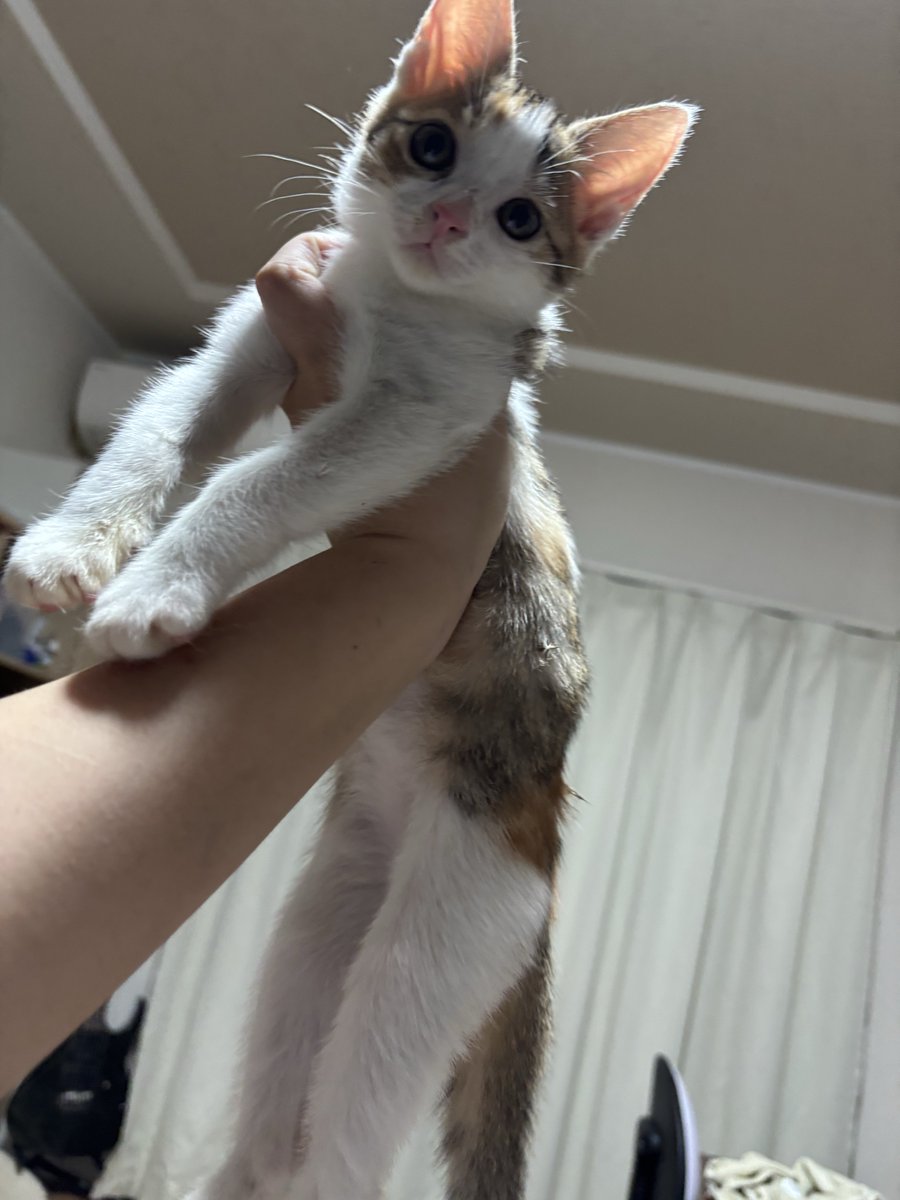 いよちゃんとったどー
