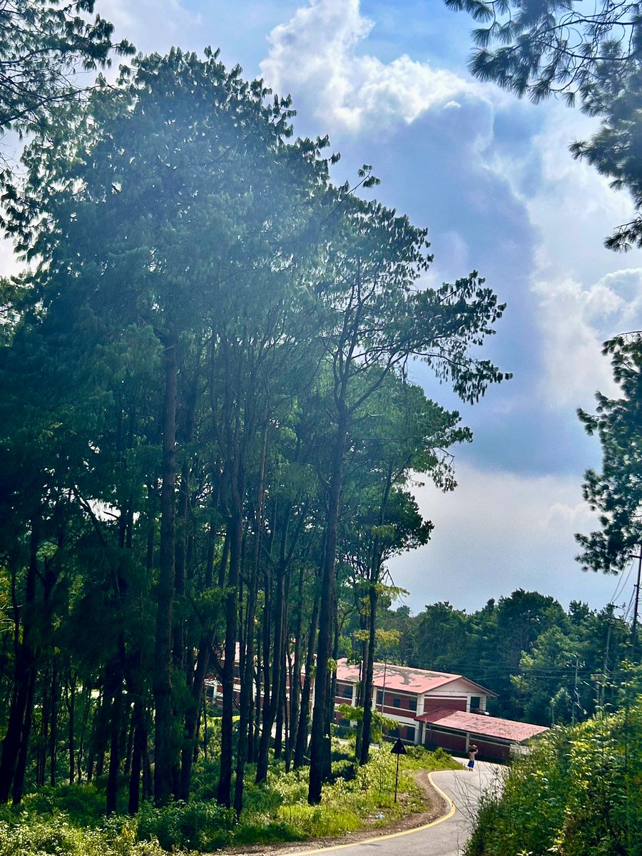 "Once you have heard 
the inner voice there is 
no more going astray in life.
The one who travels and 
the one who guides are one 
and the same."

Osho