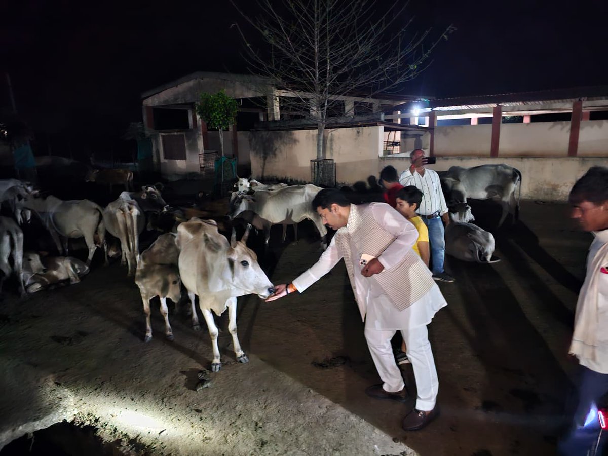 kptripathibjp's tweet photo. आज सेमरिया में बसामन मामा गौवंश वन्य विहार में गौमाता की सेवा का सुअवसर मिला।
गौमाता को गुड़ खिलाकर आशीर्वाद लिया — यह क्षण आत्मिक शांति और श्रद्धा से परिपूर्ण रहा।
गौसेवा ही सच्ची देवसेवा है।
#भाजपा #रीवा #सेमरिया_विधानसभा #kptripathi #सेमरिया #kptripathisemariya #semariya https://t.co/ocNDMAnWPN