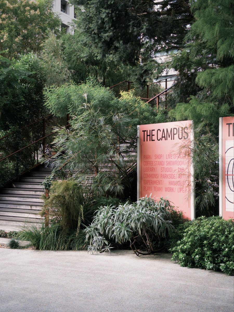 aozor_0325's tweet image. THE CAMPUS

仕事に必要最低限のものがあるんじゃなくて、観葉植物とかカラフルなオフィス家具とか視覚的に刺激のあるものが置いてあって、ある意味展示場みたいなオフィスだった🪴🛋️
#melc2025