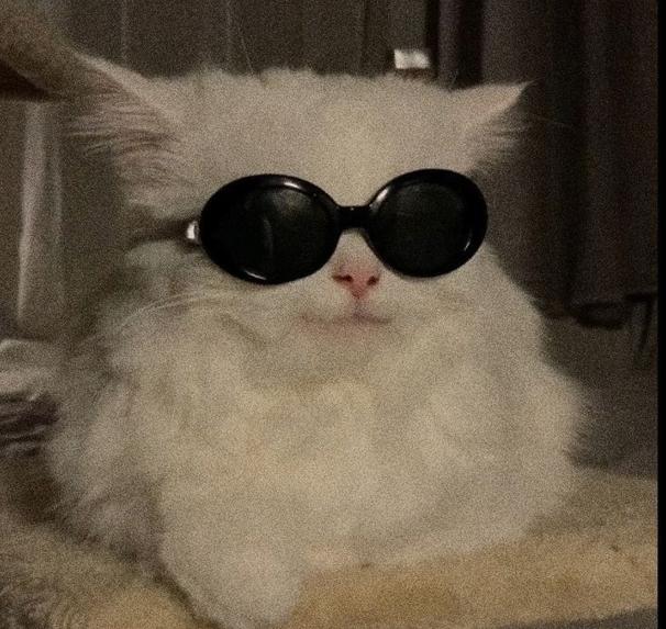 木曜日深夜のメモ：からっとしてる／まったり。休憩する→洗濯する。マイペースで。