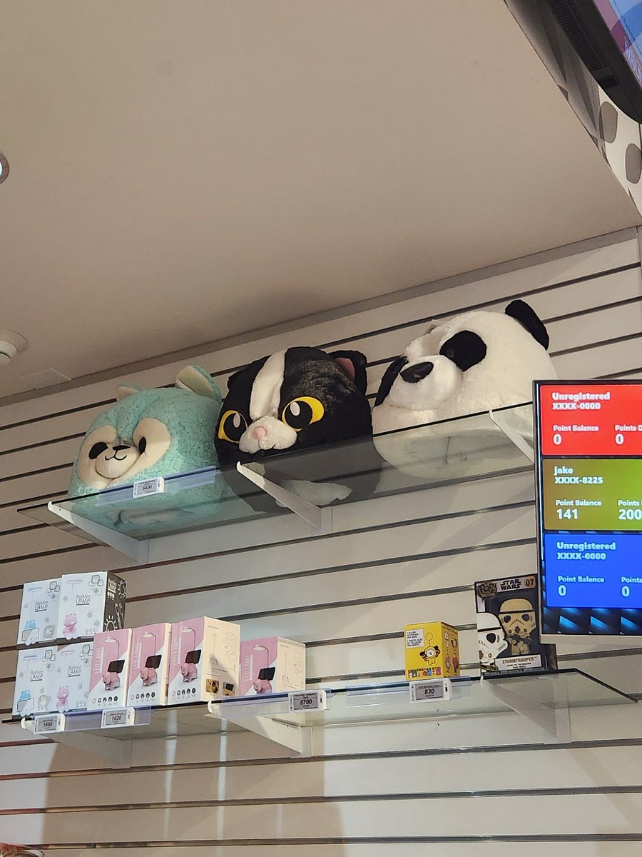 Why get a spirit Halloween fursuit head when u can get one @ Round 1