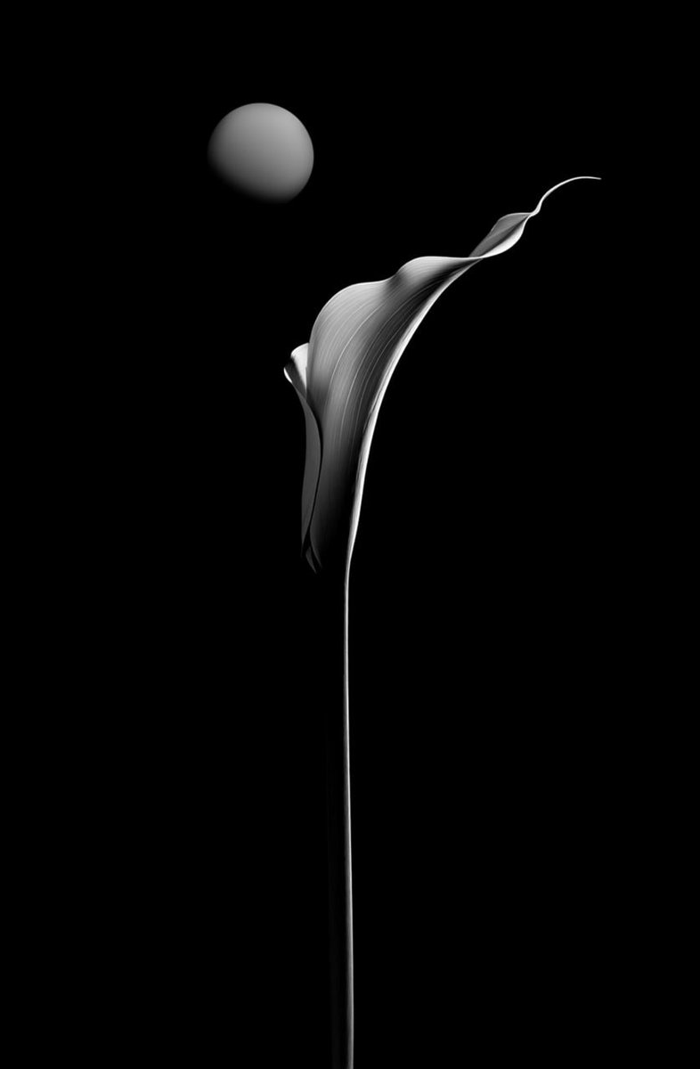 PeterArt18.eth 🇺🇦 tweet media