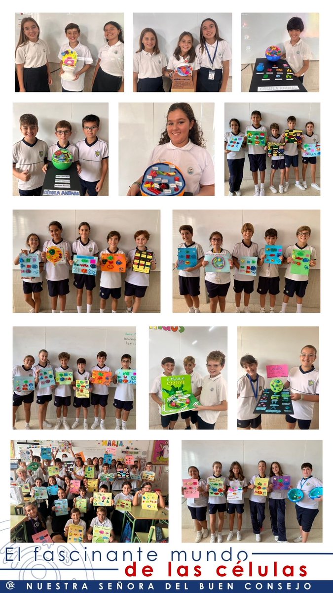 buenconsejoml's tweet image. Los alumnos de 6.º de Primaria han llevado a cabo un interesante proyecto sobre las células 🔬y sus partes, en el que han explorado la estructura y función de la unidad básica de la vida 🧬
#ContigoSomosBuenConsejo
#ColegiosFSC