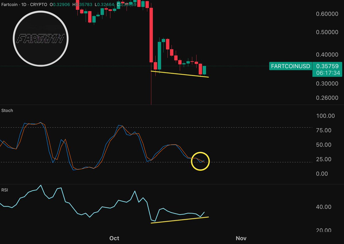 Fartcoin.
 
12H Stochastic bottomed.
Daily RSI divergence.
 
It's time 💨