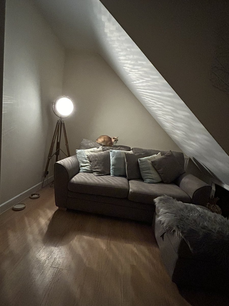 mimybug's tweet image. we call this her sulking corner