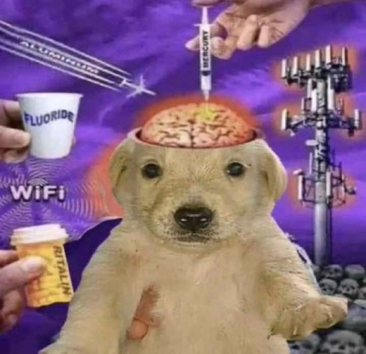 KRÜ Shyro tweet media