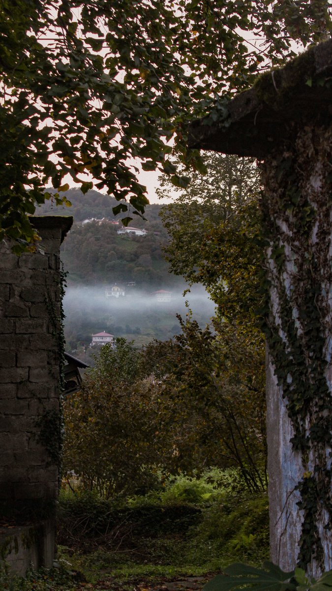 livesinostalgia's tweet photo. ekim’25
arhavi / artvin 🌿 https://t.co/Op2gNDfPYc
